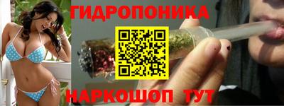 spice Тулун